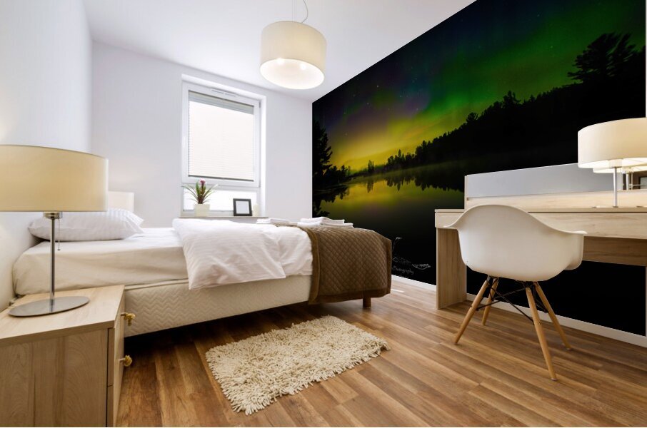 JBS 6983  Mural print