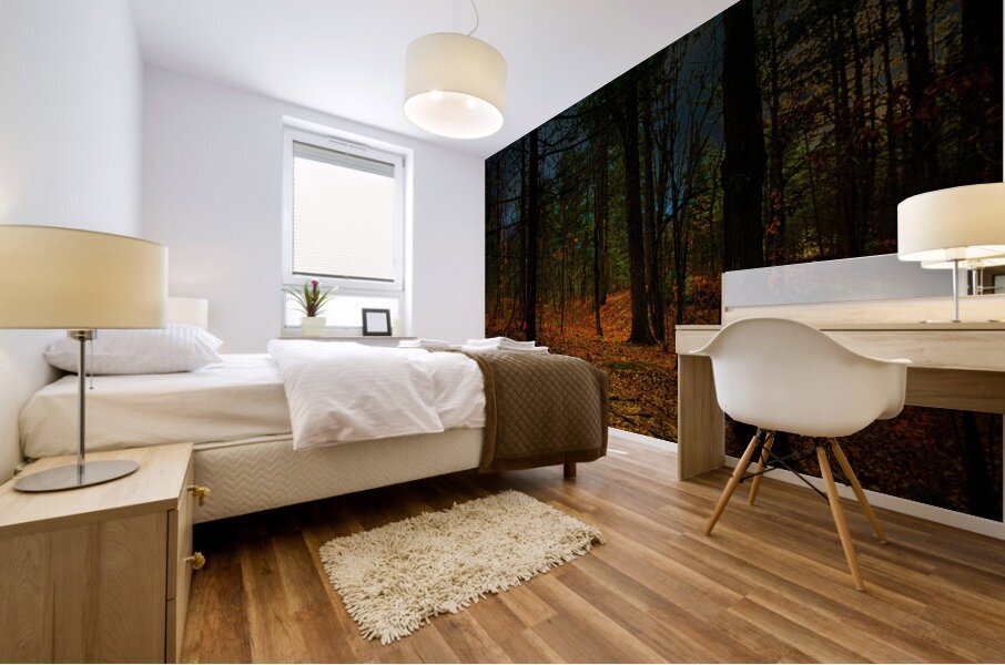 DSC 3665 1 Mural print