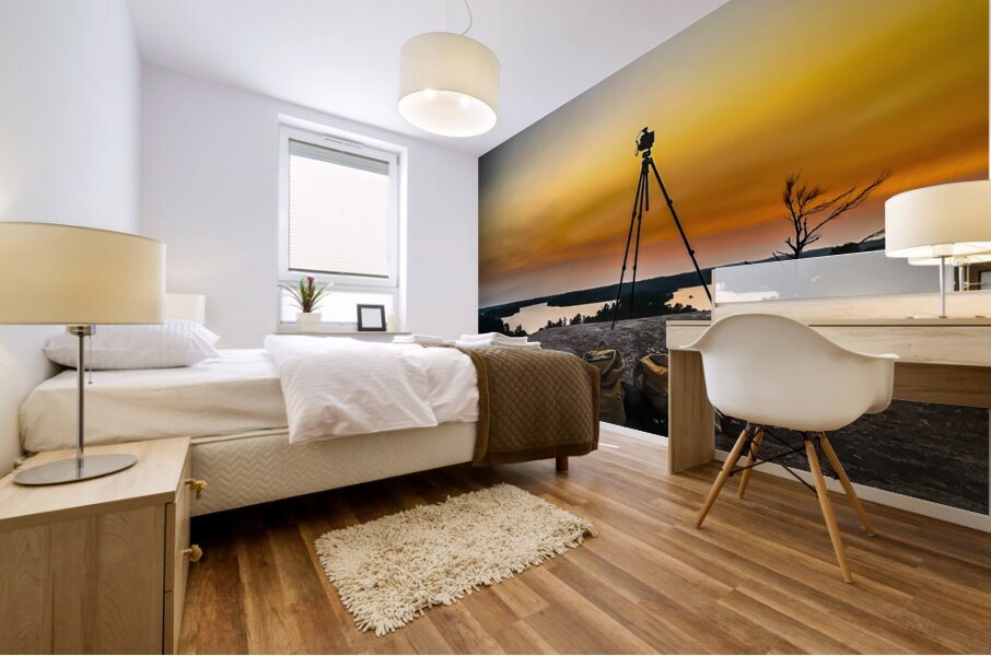 IMG 0698 Mural print