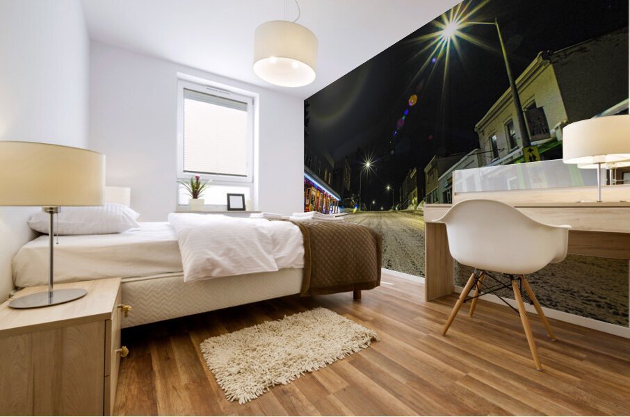 JBS 0475  Mural print