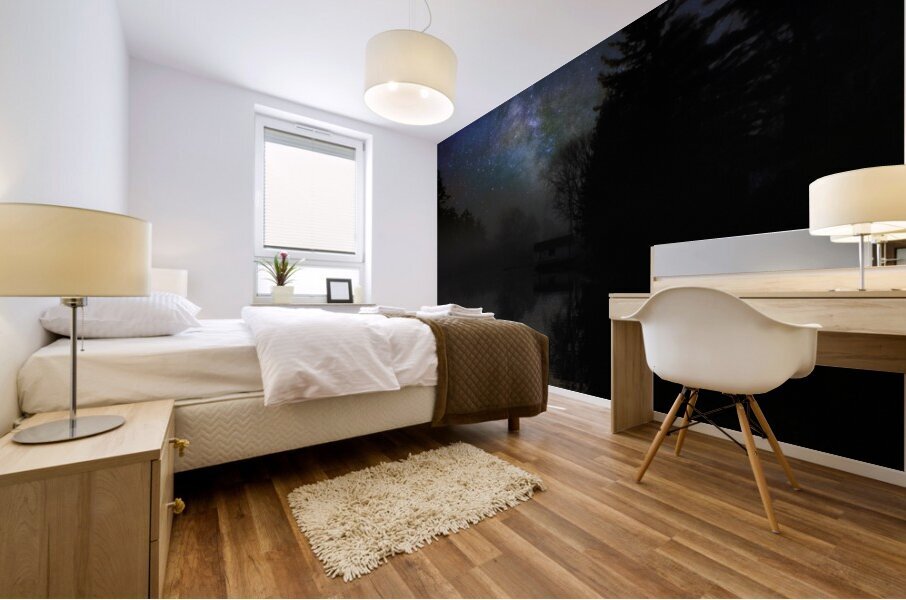 JBS 3523 1 Mural print