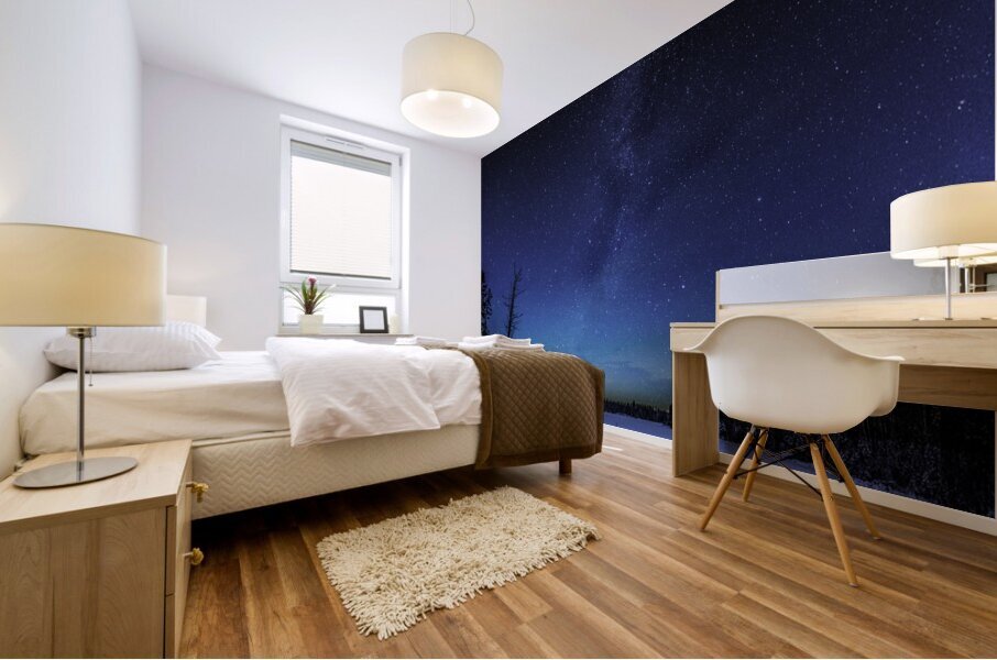 JBS 3424 Pano Mural print