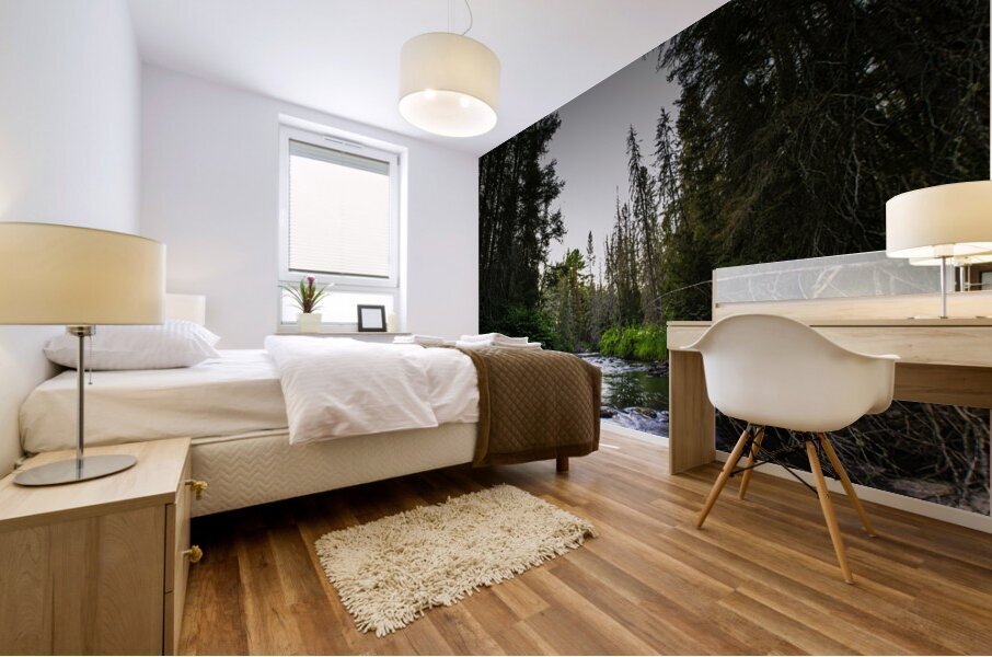 JBS 2030 Mural print