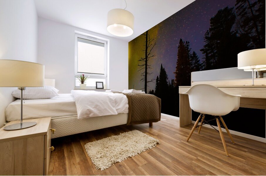 JBS 3723 Mural print