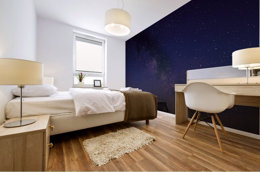 JBS 2880 2 1 Mural print