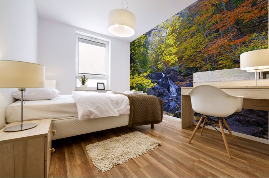 ZJS 5787 Mural print