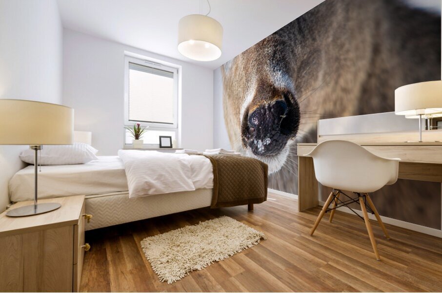 JBS 0540 Mural print