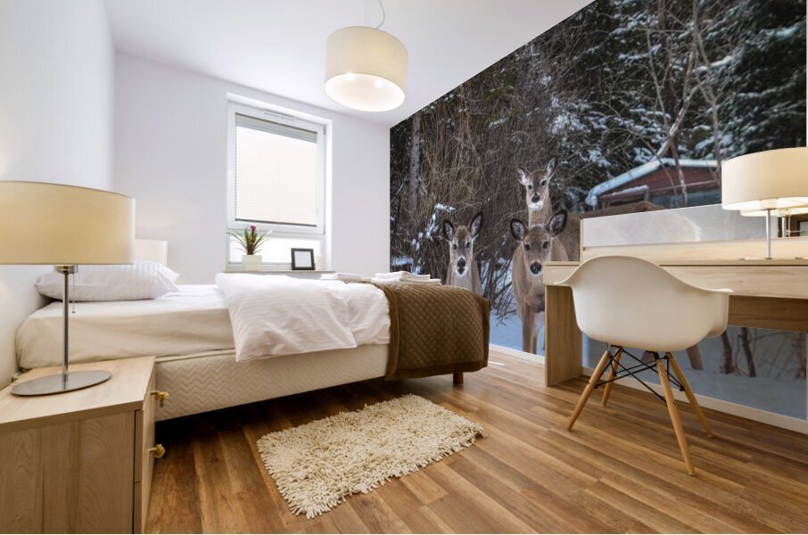 JBS 3117 2  Mural print