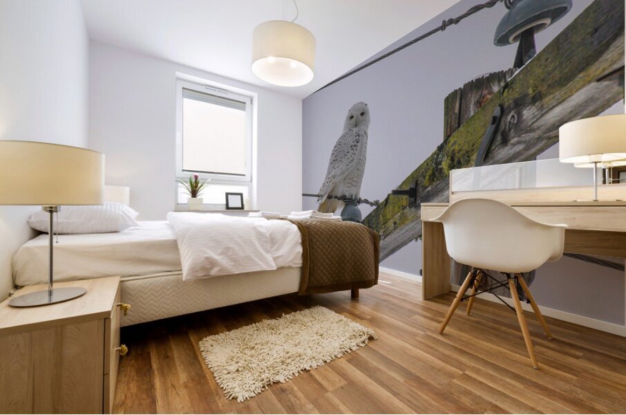 DSC 1879 Mural print