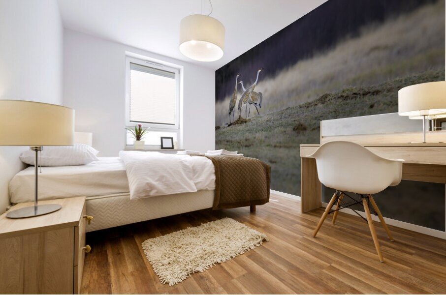 JBS 0650 Mural print