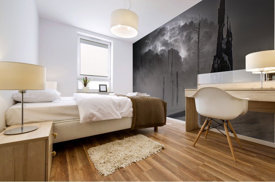 01300036  Mural print