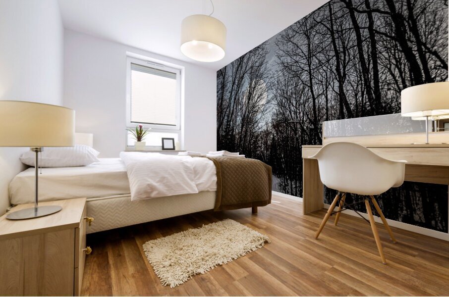 JBS 0236  Mural print