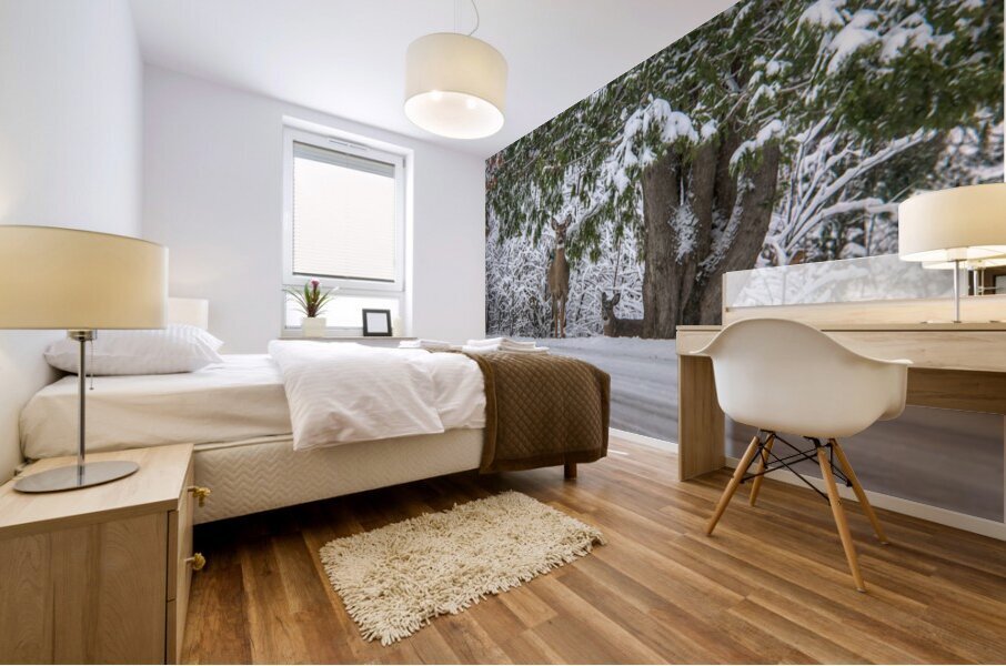 JBS 7888  Mural print