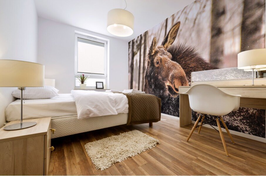 JBS 4894 Mural print