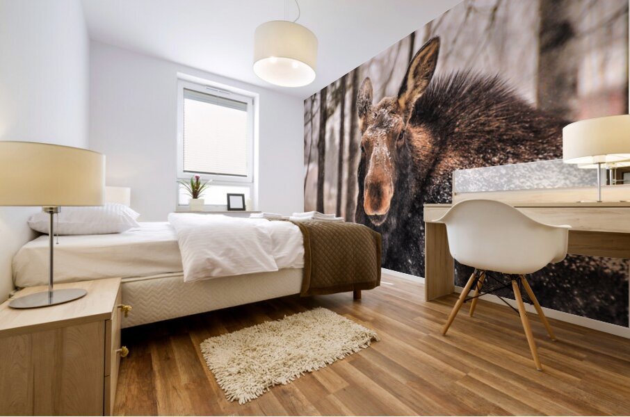 JBS 4896  Mural print