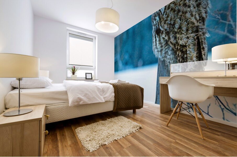 jbs 5420-2 Mural print