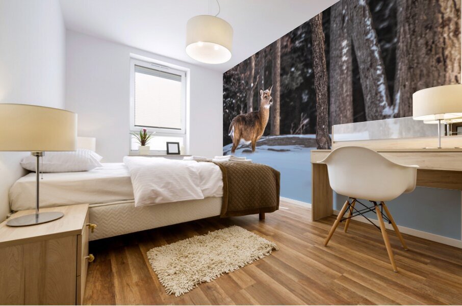 JBS 5494  Mural print