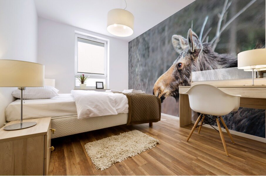 JBS 6219 Mural print