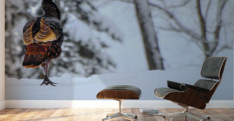 DSC 5553  Wall Murals