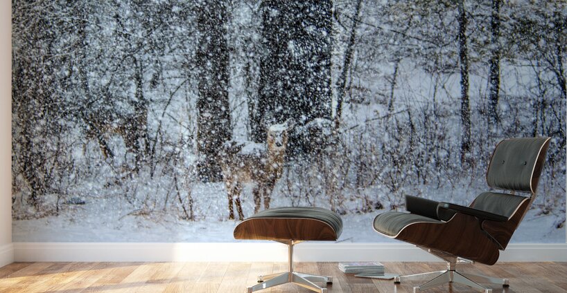 JBS 0383  Wall Murals