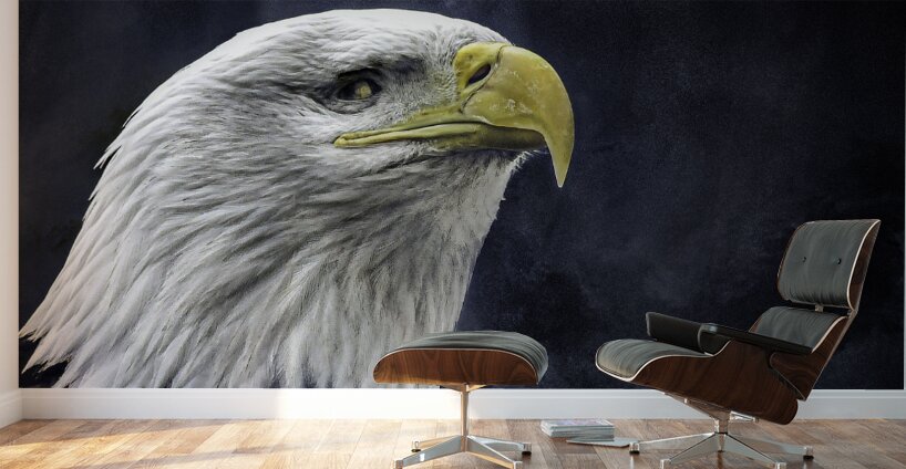 JBS 1282  Wall Murals