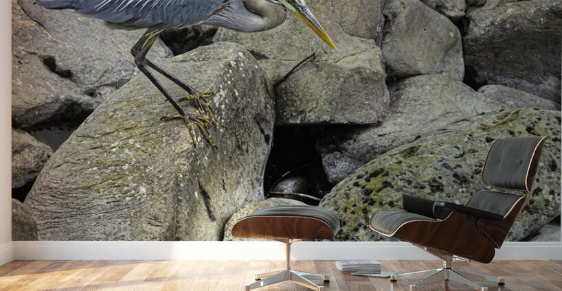 JBS 1629 Wall Murals