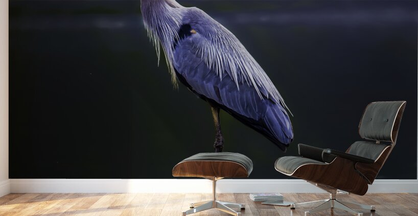 JBS 1706 2 Wall Murals