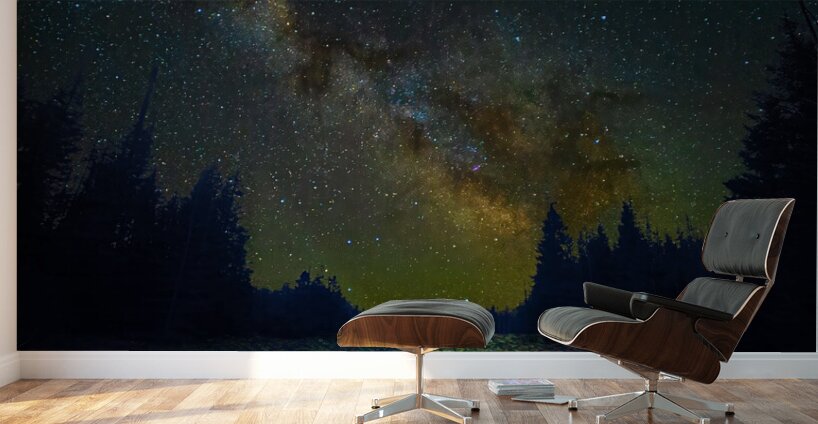 JBS 4834  Wall Murals