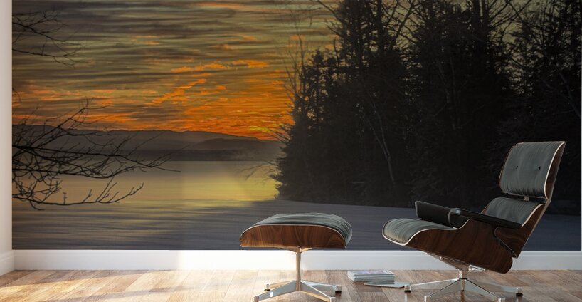 JBS 4142  Wall Murals