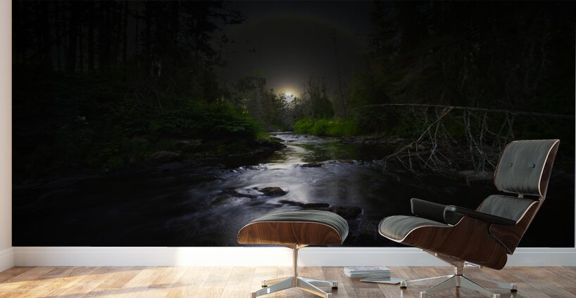 JBS 2058  Wall Murals