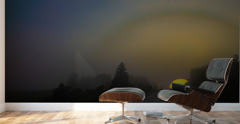 JBS 2526  Wall Murals