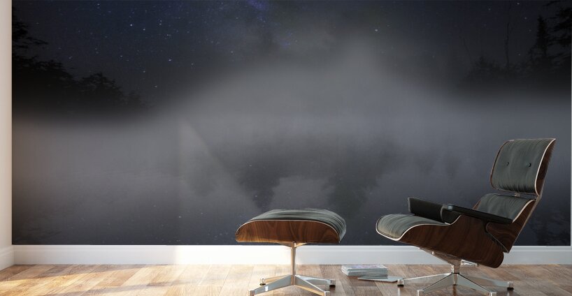 DSC 5614  Wall Murals