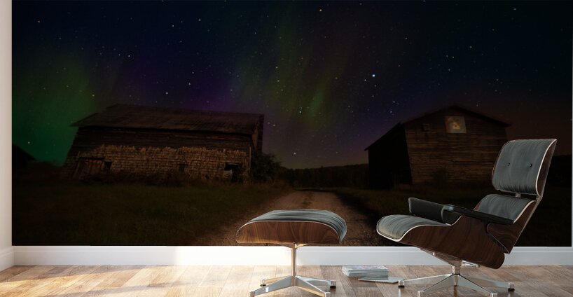 ZJS 8347  Wall Murals