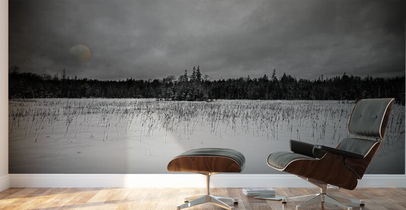 ZJS 9284 2  Wall Murals