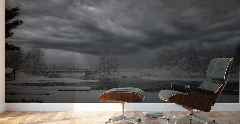 ZJS 6442  Wall Murals