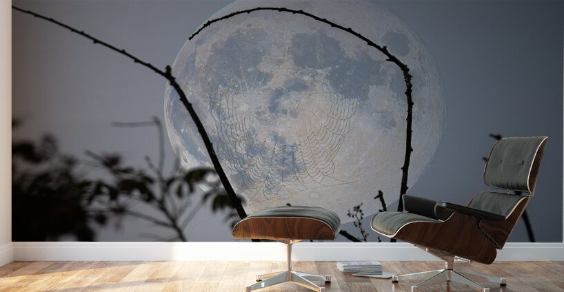 ZJS 8305  Wall Murals