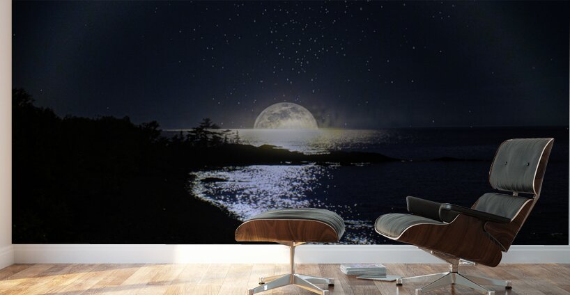 JBS 3166  Wall Murals