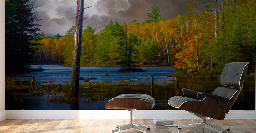  JBS4221  Wall Murals