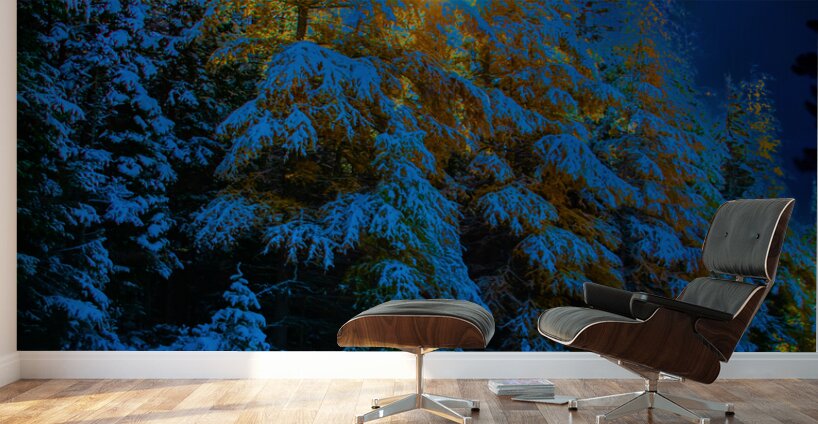 JBS 4968  Wall Murals