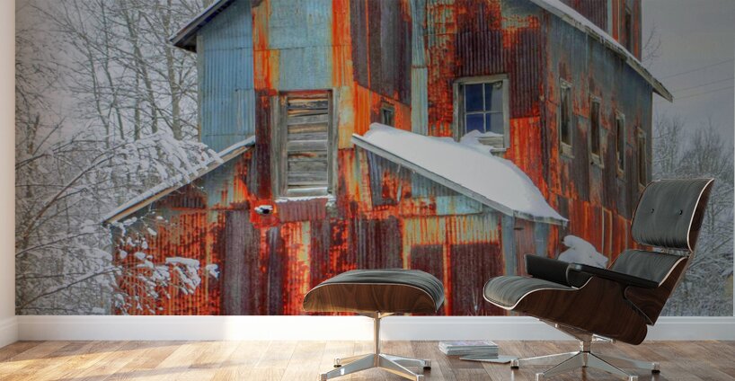 DSC 5683  Wall Murals