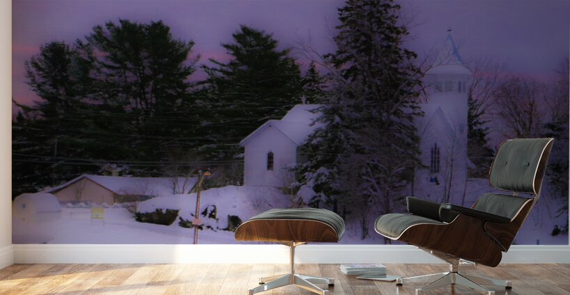 JBS 5142 Wall Murals