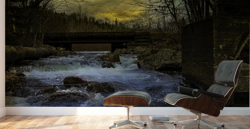 JBS 9699  Wall Murals