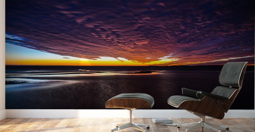 JBS 3798 Wall Murals