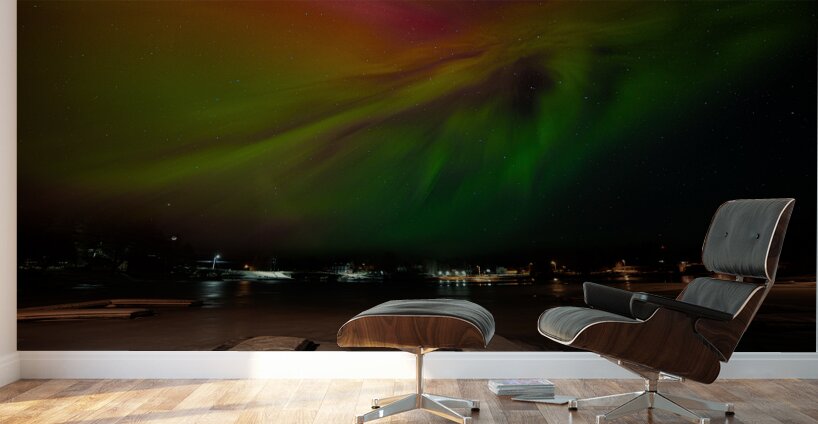 DSC 4357  Wall Murals