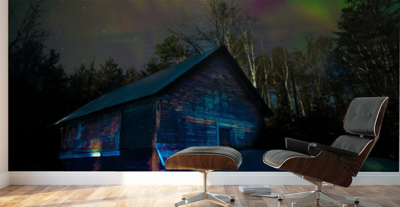 JBS 4795  Wall Murals