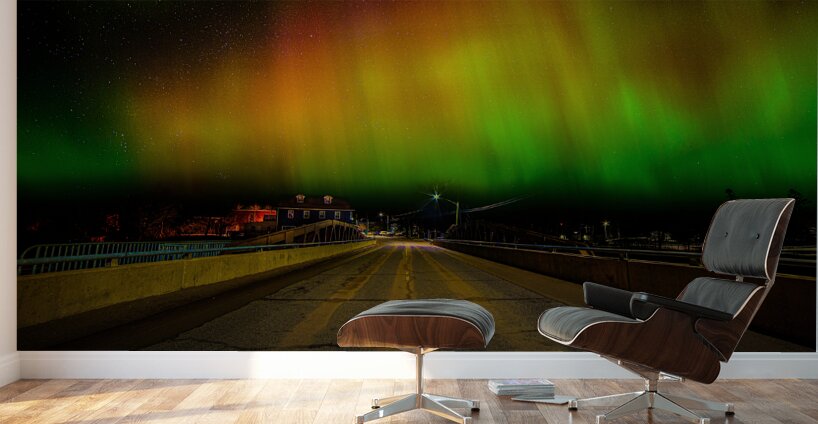 DSC 4366  Wall Murals