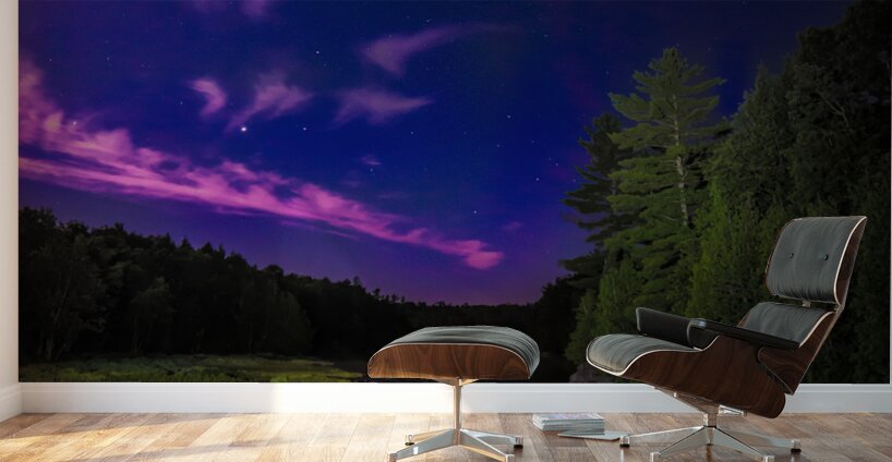 JBS 3323 Wall Murals