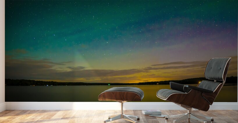 JBS 3647 Wall Murals