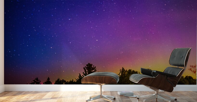 JBS 3488  Wall Murals