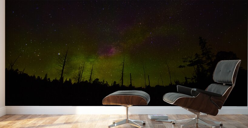 CRC 1489 Wall Murals